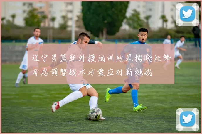 辽宁男篮新外援试训结果揭晓杜锋考虑调整战术方案应对新挑战
