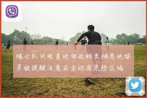 瑞士队训练基地邻近蛇类栖息地球员被提醒注意安全远离危险区域