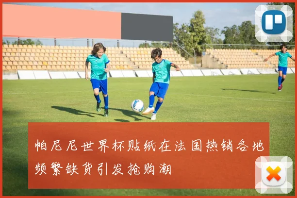 帕尼尼世界杯贴纸在法国热销各地频繁缺货引发抢购潮